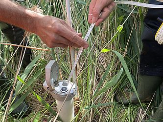 Zwei Mitarbeitende des Biosphärenreservats in Stiefeln lesen Grundwasserspiegel ab