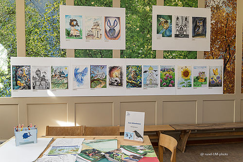 Foto: rundUMphoto, Lizenz: rundUMphoto