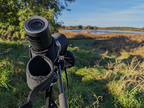 Foto: N.Erdmann, Lizenz: Stiftung Naturschutzfonds Brandenburg